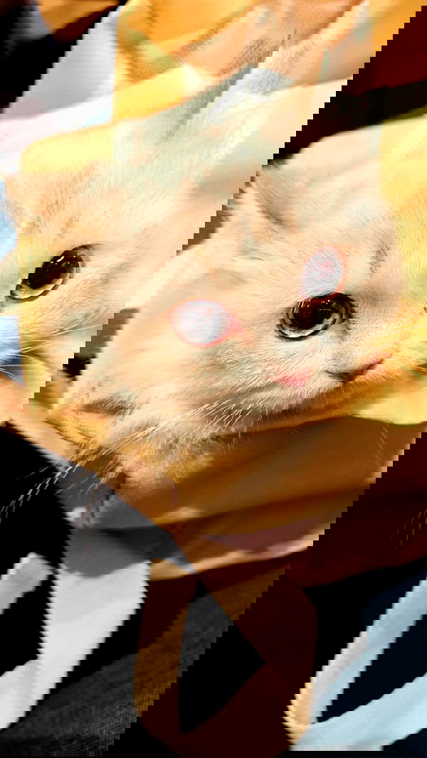 minaxash minaxash archive image