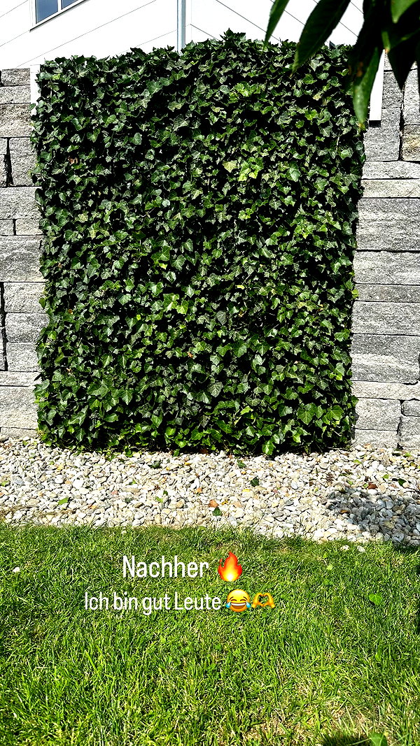 minicuta instagram image archive image
