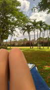 minicuta Altpins Profile Picture