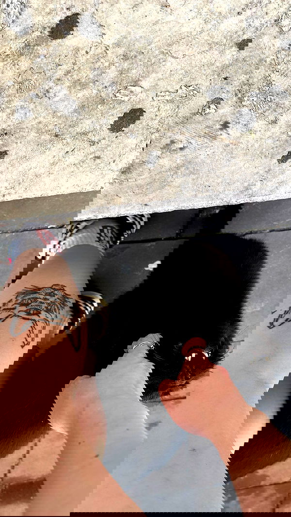 mishel116 mishel116 archive image