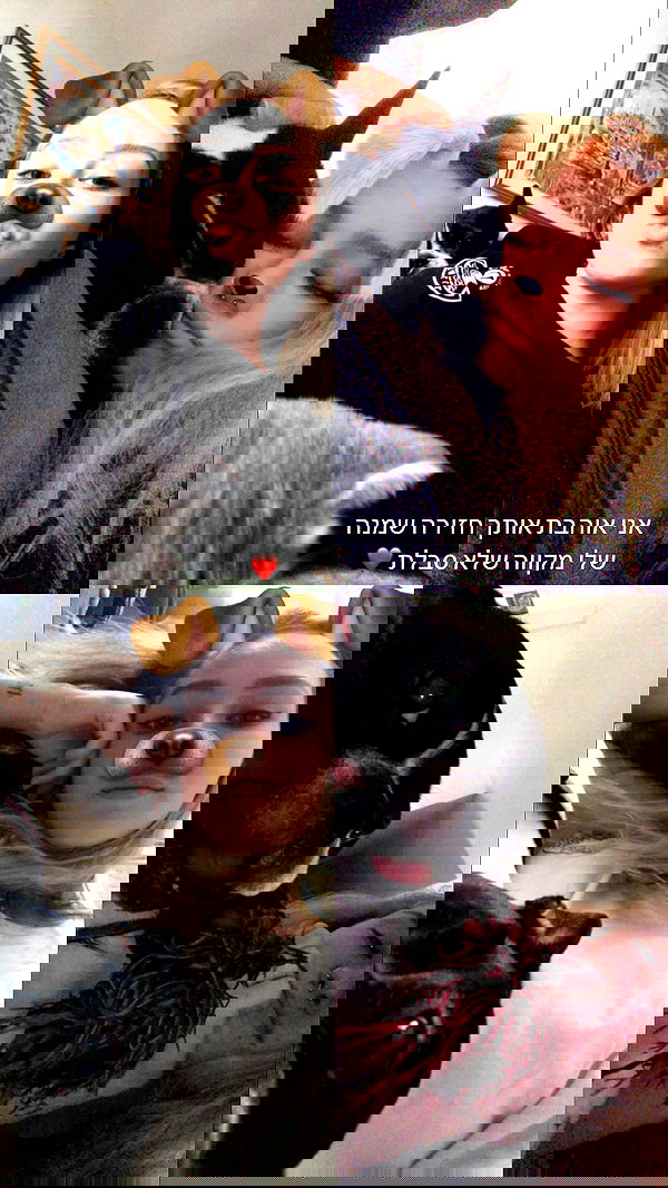 mishel116 mishel116 archive image