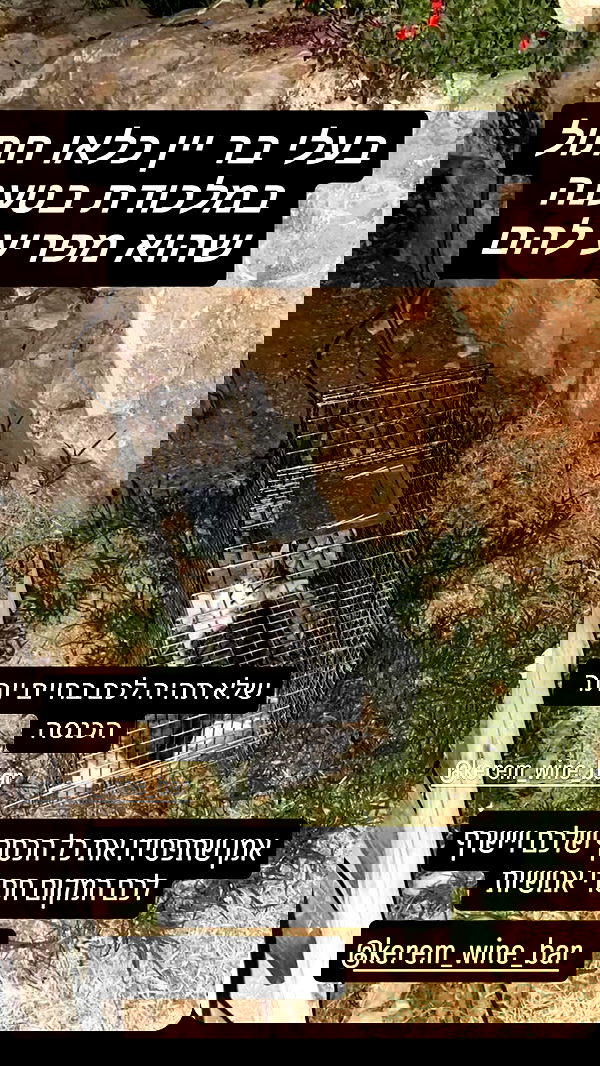 mishel116 mishel116 archive image