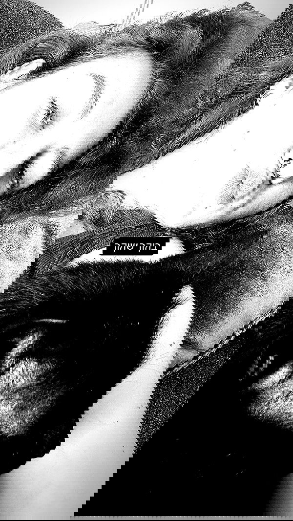 mishel116 mishel116 archive image