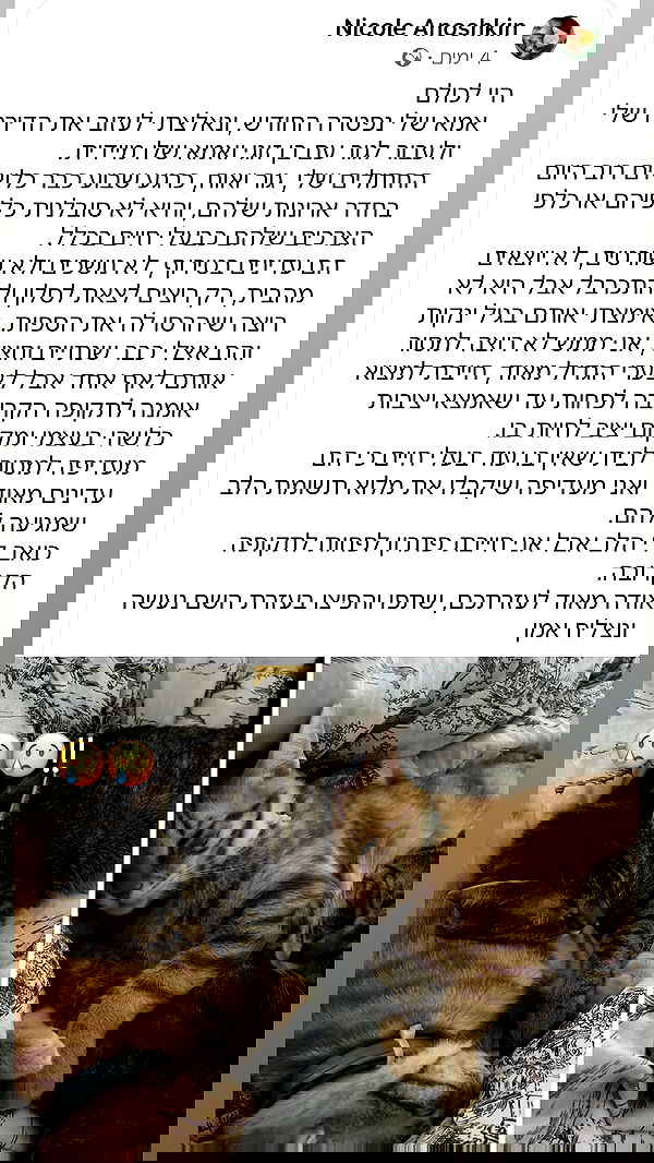 mishel116 mishel116 archive image