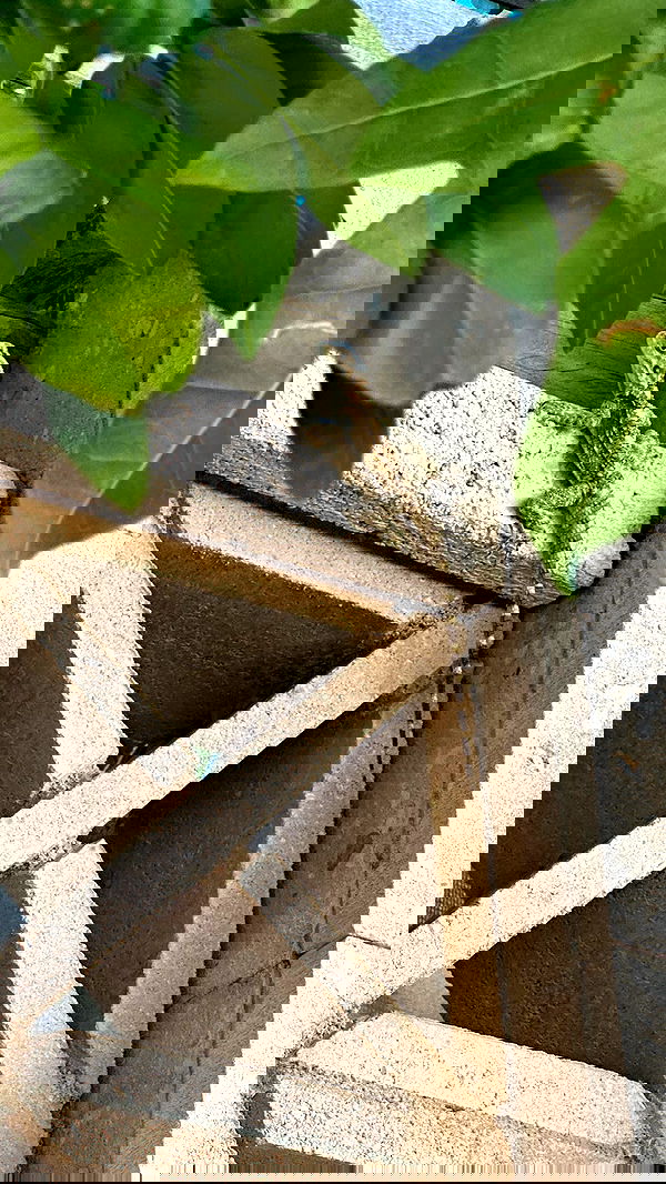 mishel116 mishel116 archive image