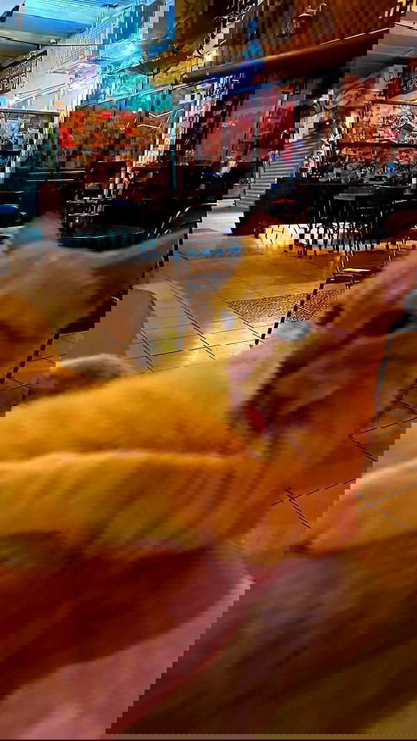 mishel116 mishel116 archive image