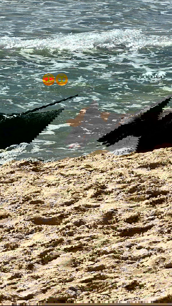 mishel116 mishel116 archive image