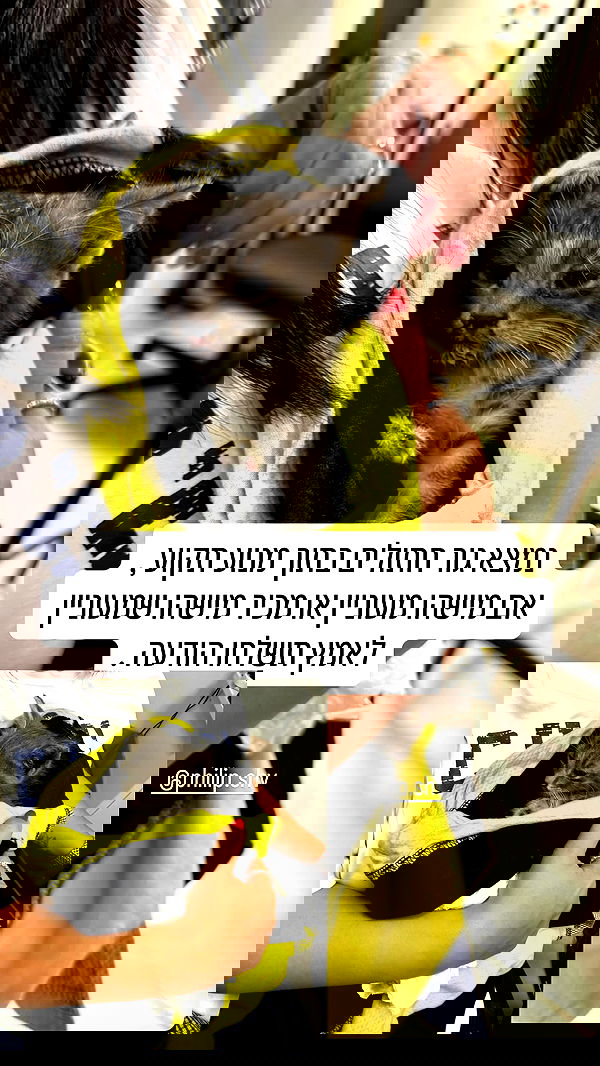 mishel116 mishel116 archive image