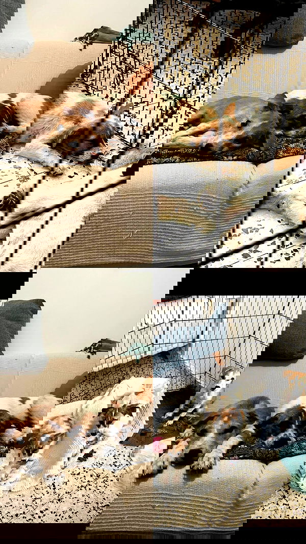 mishel116 mishel116 archive image