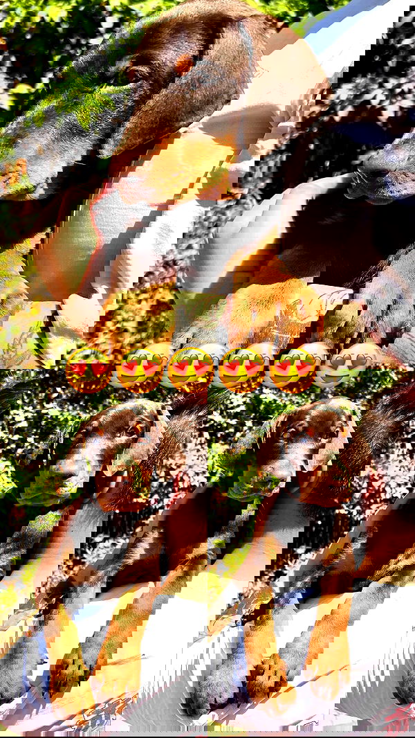 mishel116 mishel116 archive image