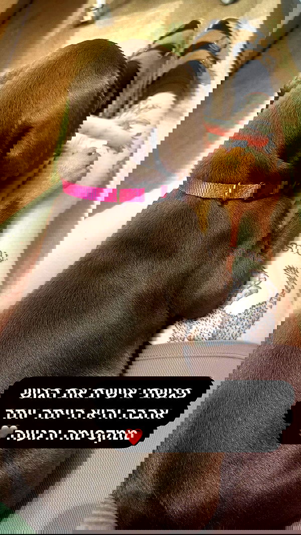 mishel116 mishel116 archive image