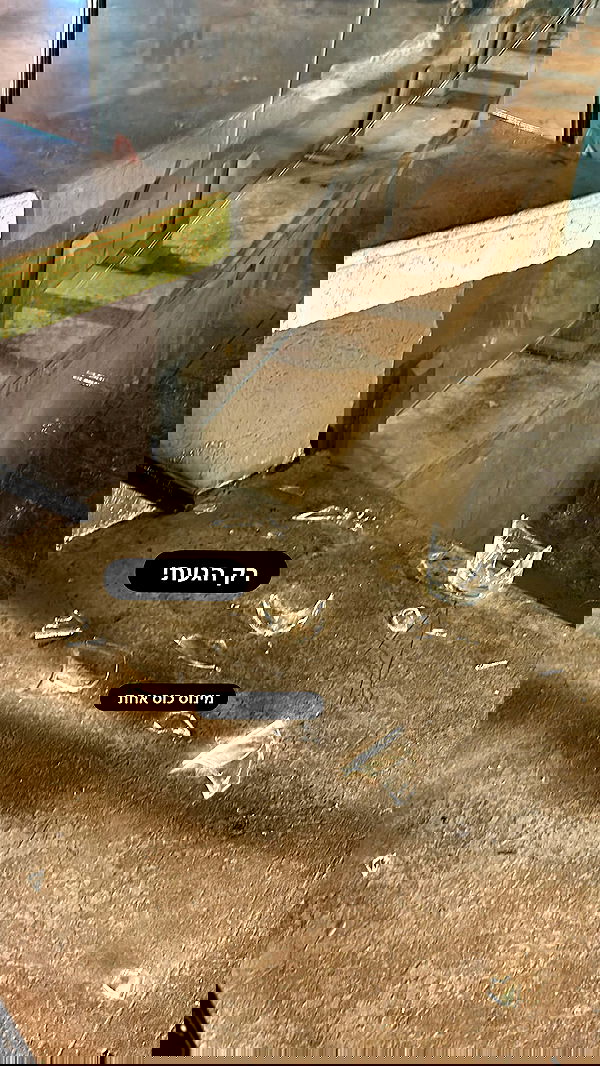 mishel116 mishel116 archive image