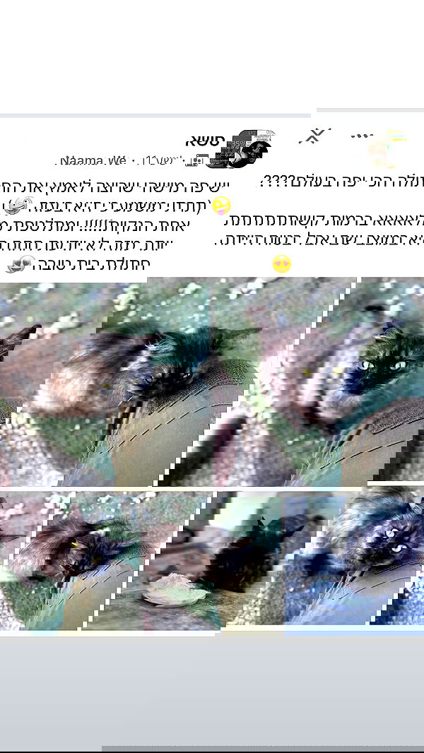 mishel116 mishel116 archive image