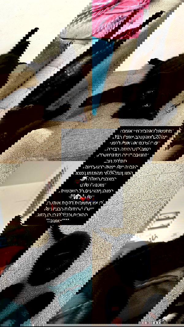 mishel116 mishel116 archive image