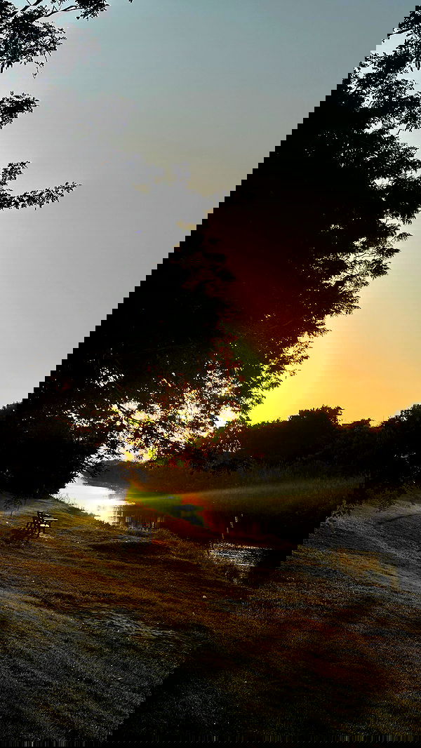 mishel116 mishel116 archive image