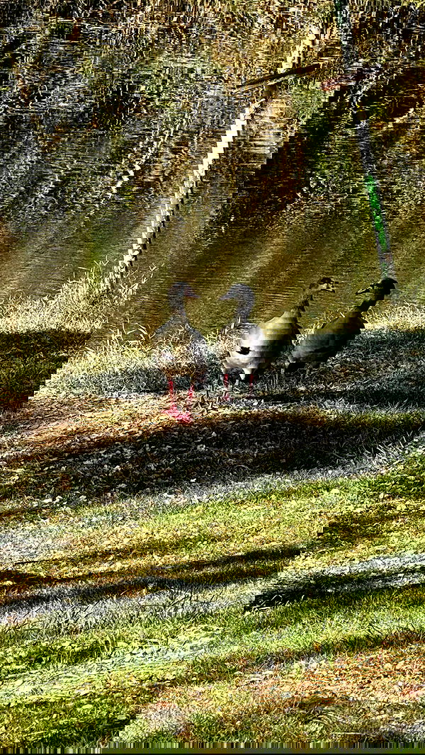 mishel116 mishel116 archive image