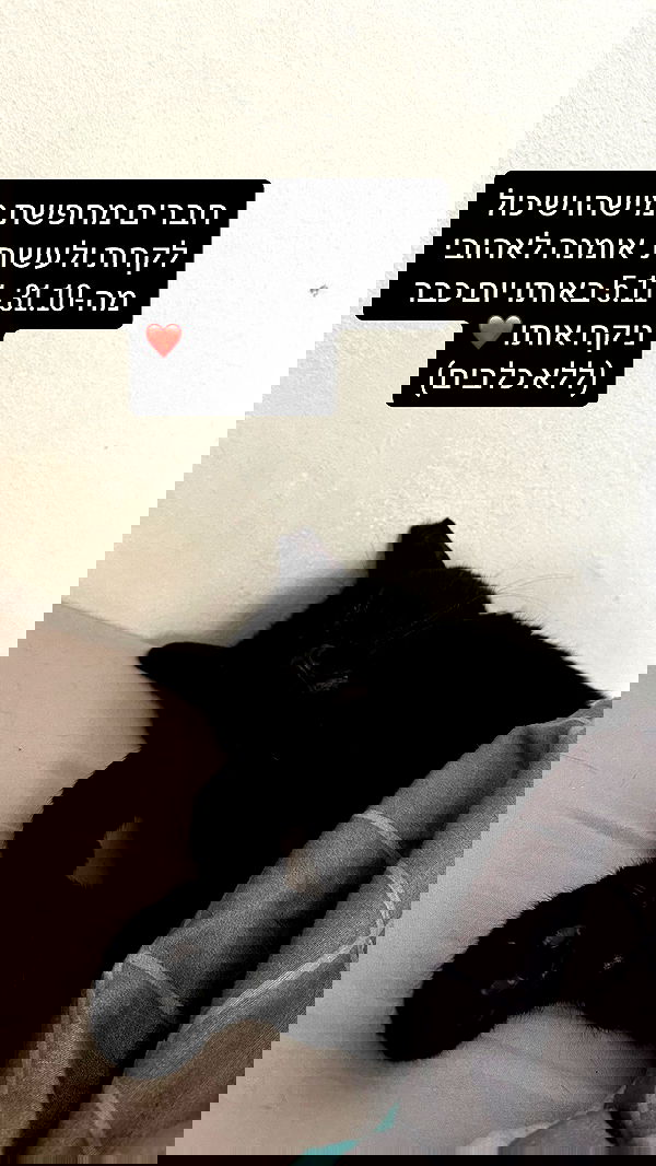 mishel116 mishel116 archive image