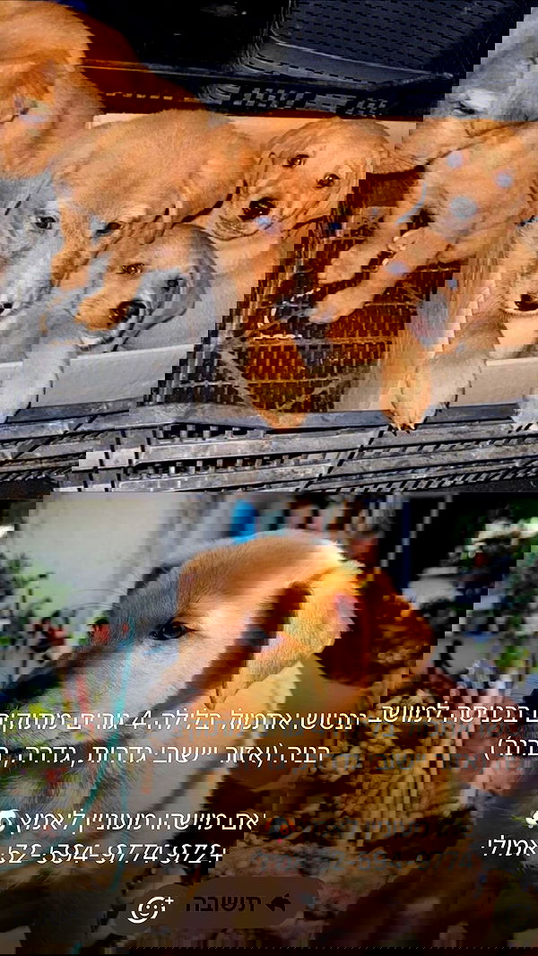 mishel116 mishel116 archive image