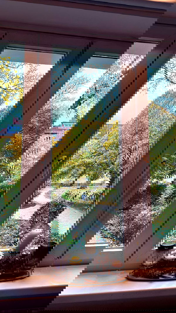 mishel116 mishel116 archive image