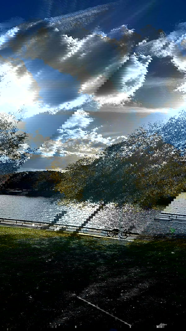 mishel116 mishel116 archive image