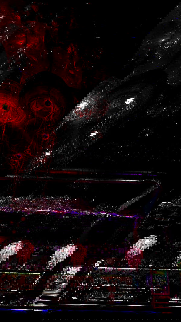 mishel116 mishel116 archive image