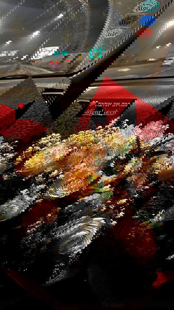 mishel116 mishel116 archive image