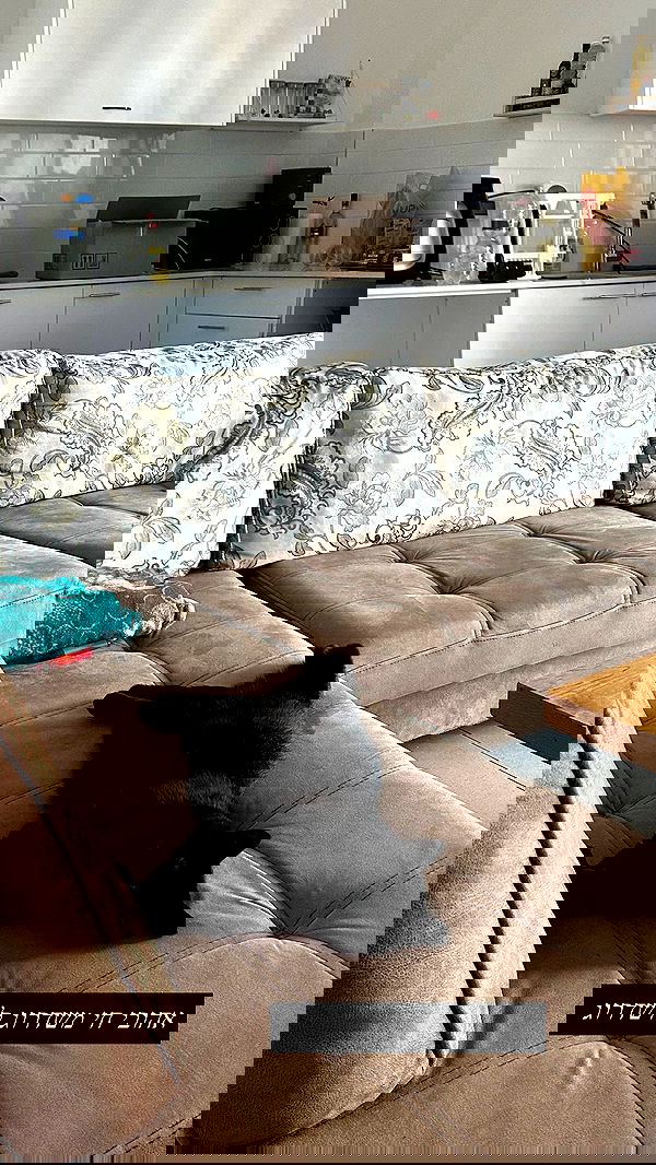 mishel116 mishel116 archive image