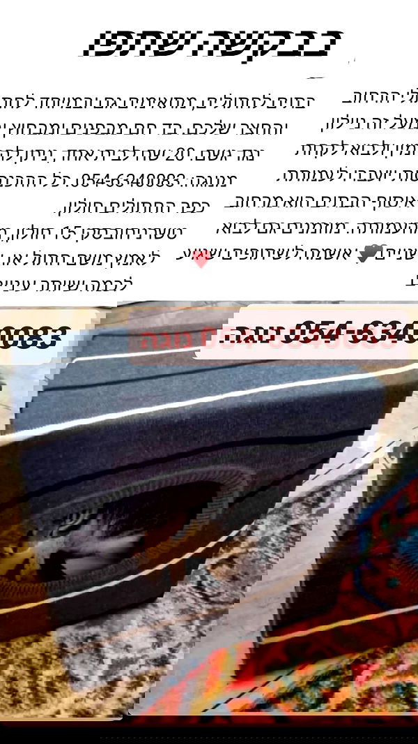 mishel116 mishel116 archive image