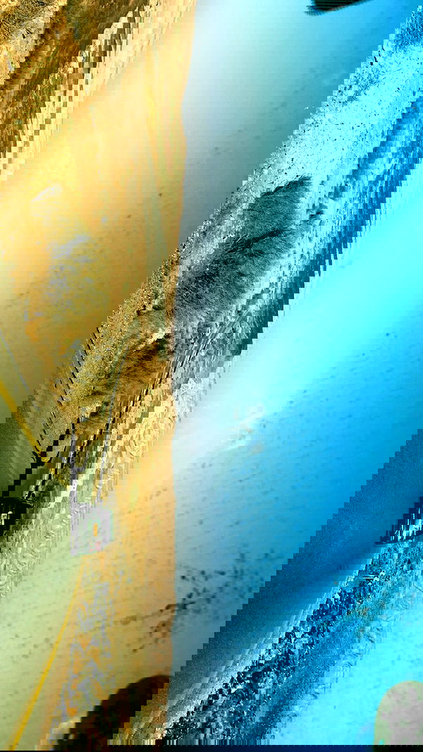 mishel_llll mishel_llll archive image