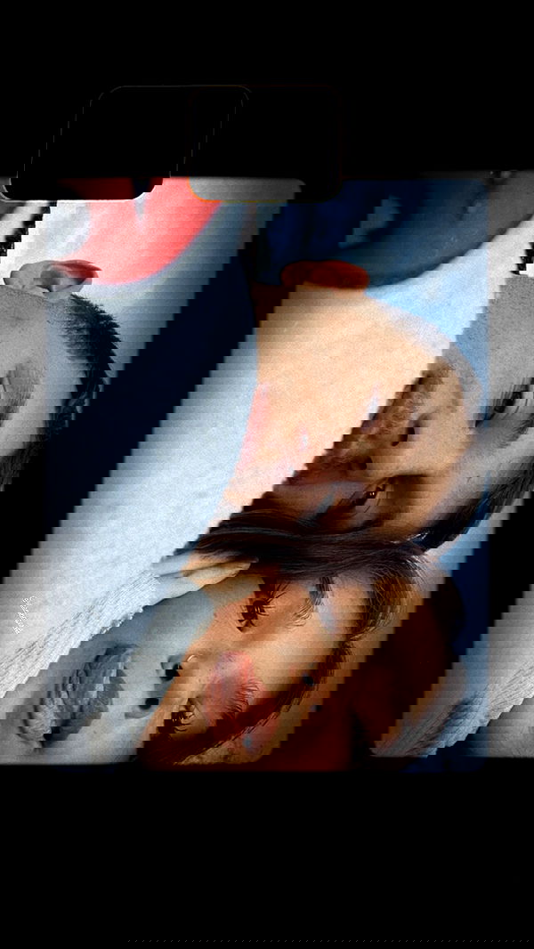 mishel_llll mishel_llll archive image