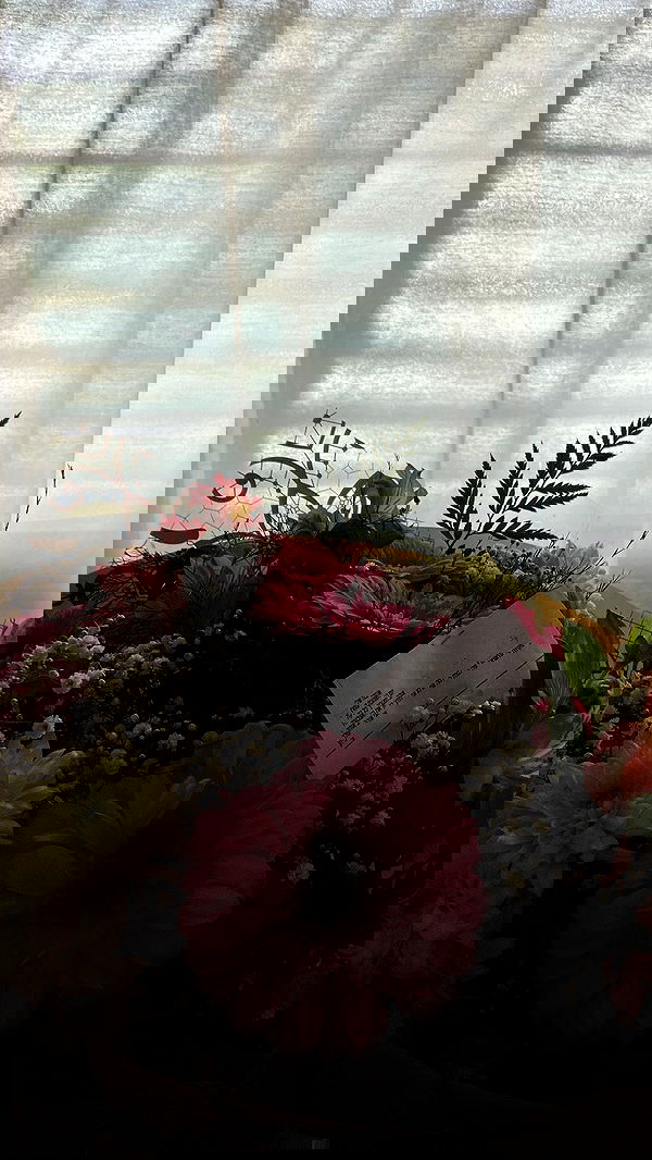 mishel_llll mishel_llll archive image