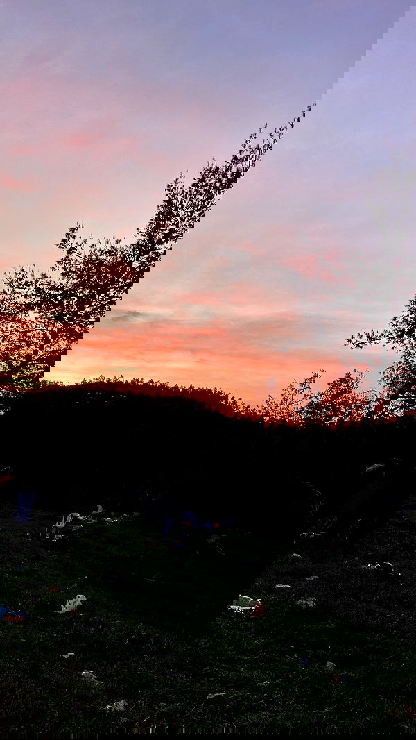 mishel_llll mishel_llll archive image