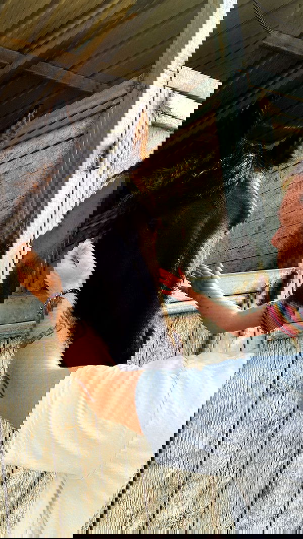 mishel_llll mishel_llll archive image