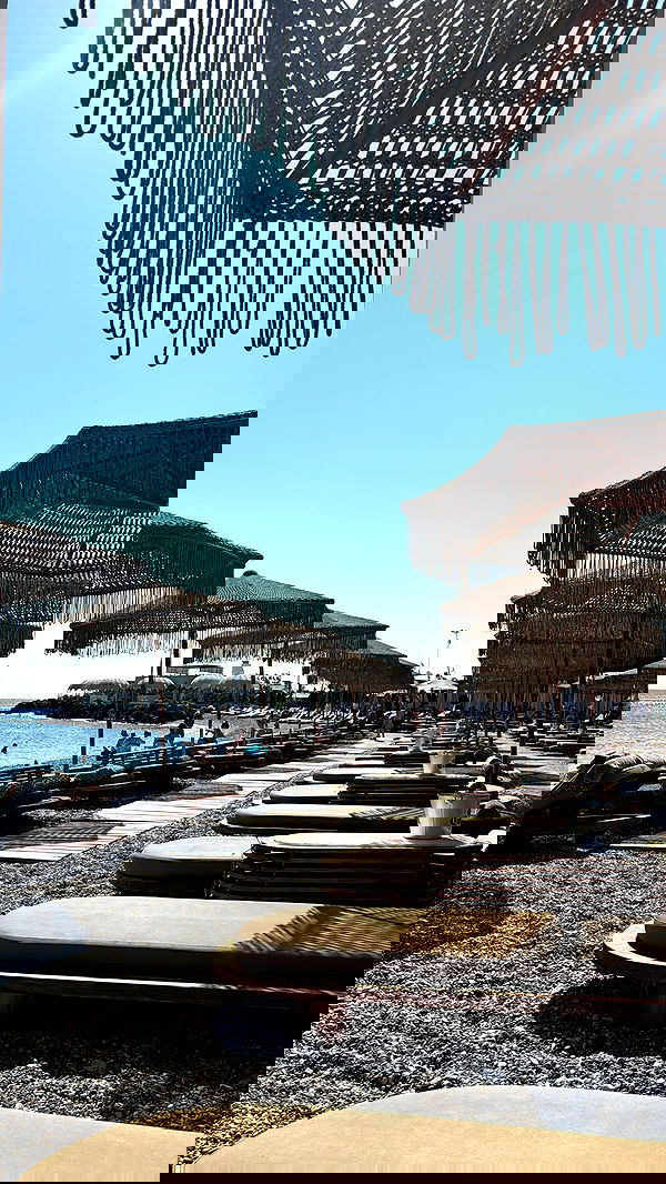 mishel_llll mishel_llll archive image