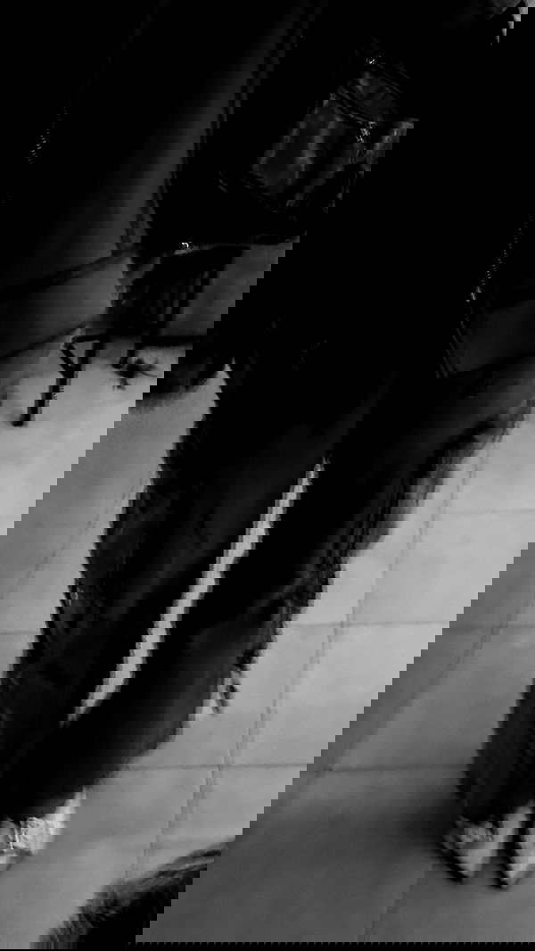 mishel_llll mishel_llll archive image