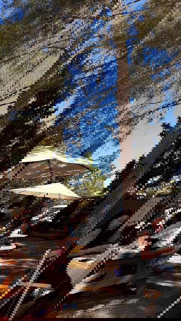 mishel_llll mishel_llll archive image