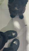 miss_baby007 Altpins Profile Picture