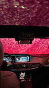 miss_baby007 Altpins Profile Picture