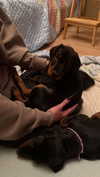 miss_baby007 Altpins Profile Picture