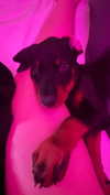 miss_baby007 Altpins Profile Picture