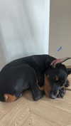 miss_baby007 Altpins Profile Picture
