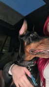 miss_baby007 Altpins Profile Picture
