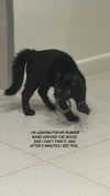 miss_baby007 Altpins Profile Picture