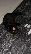 miss_baby007 Altpins Profile Picture