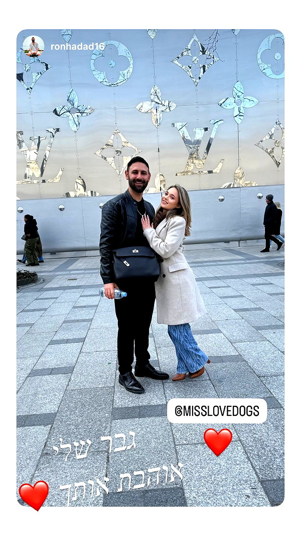 misslovedogs instagram image archive image