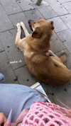 missy.ts Altpins Profile Picture