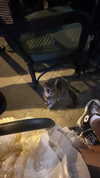 missy.ts Altpins Profile Picture