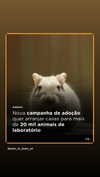 mittzaa_ Altpins Profile Picture