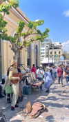 miya_sahar Altpins Profile Picture
