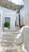 miya_sahar Altpins Profile Picture